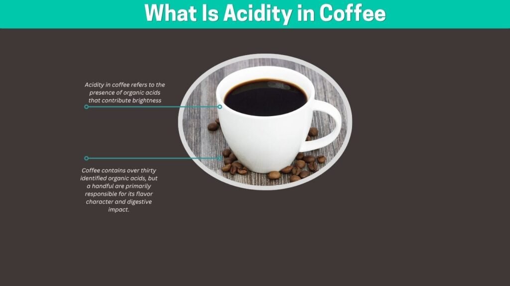 What Is Acidity in Coffee?