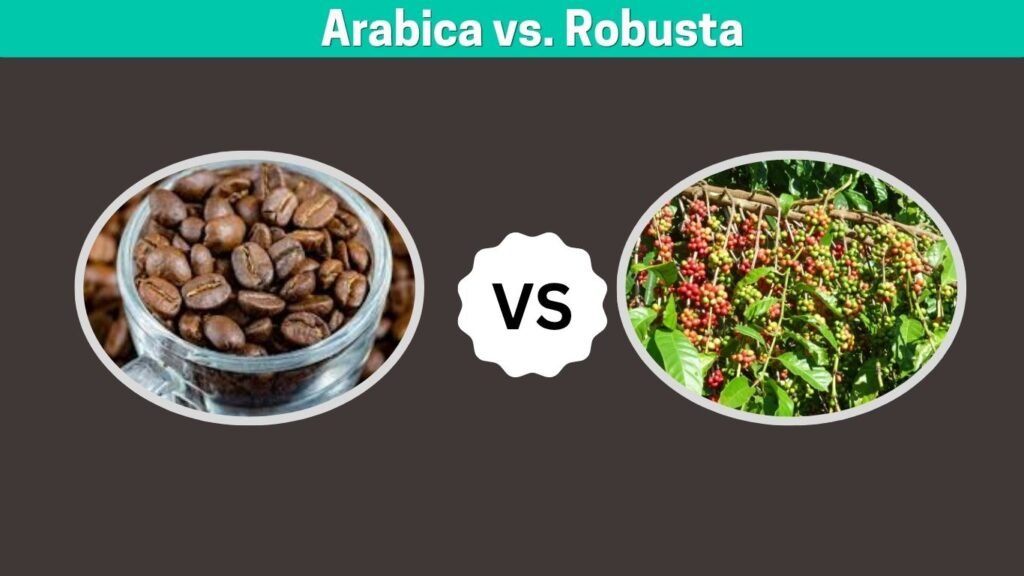 Arabica vs. Robusta
