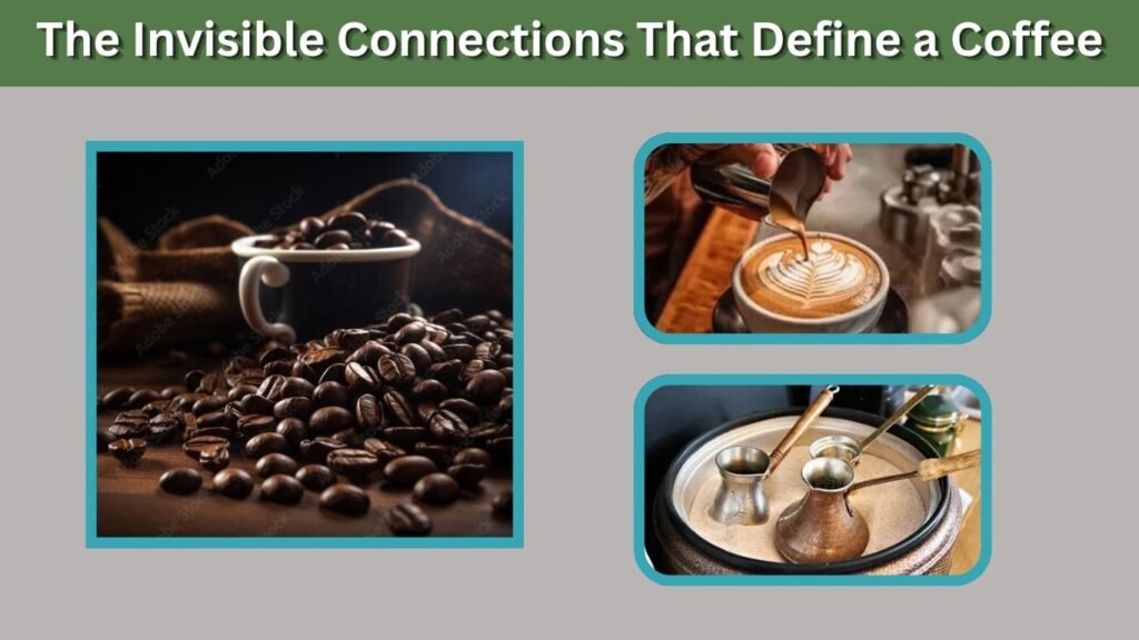 The Invisible Connections That Define a Coffee