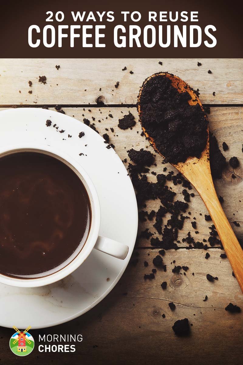 How To Reuse Coffee Grounds At Home