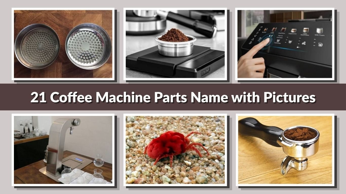 21 Coffee Machine Parts Name with Pictures (Complete Guide)