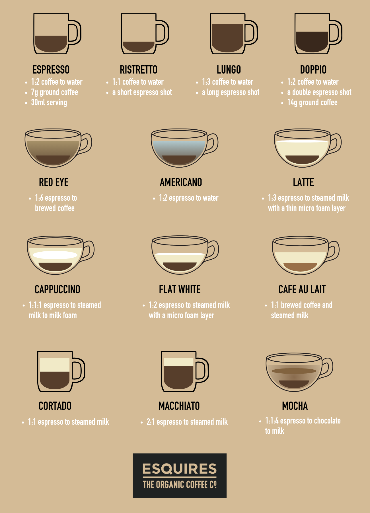 Beginner Espresso Brewing Guide