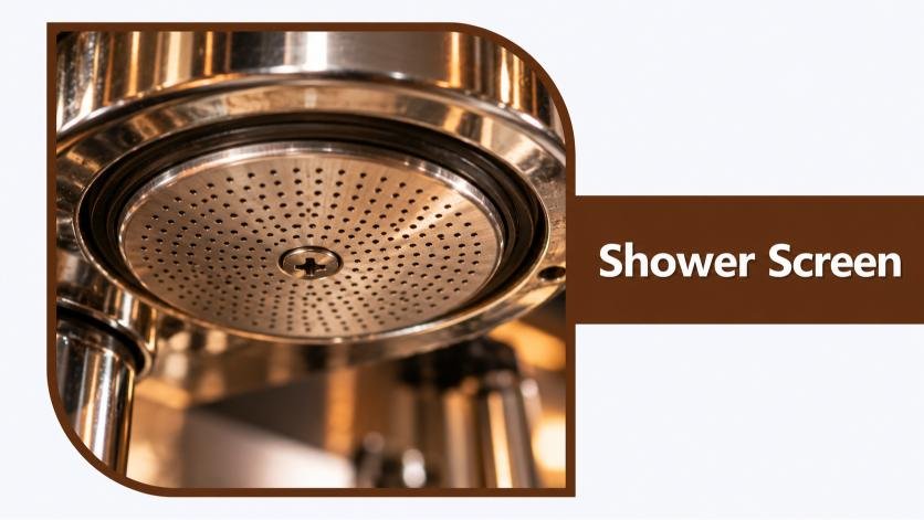Shower Screen